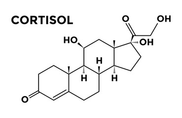 Biocheminis Kortizolio tyrimas