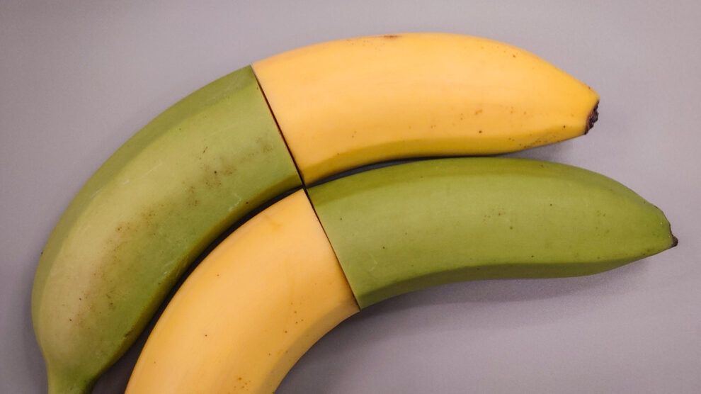 bananų nokinimas namuose